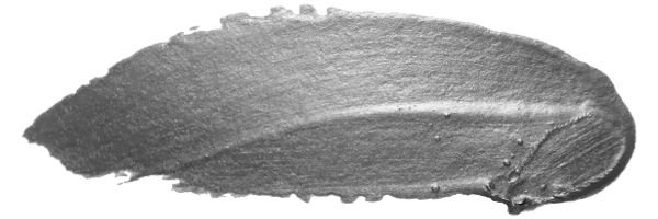 silver paint 2
